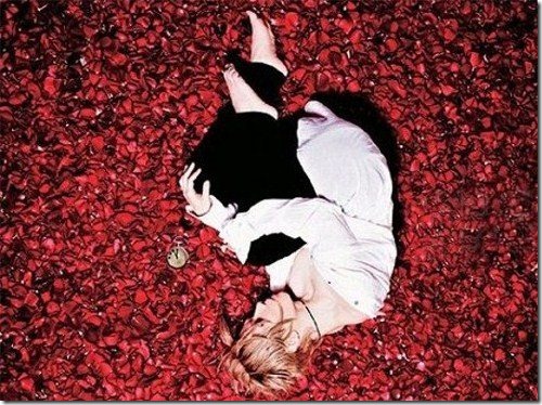 acid-black-cherry-2012