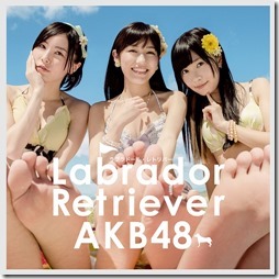 akb48-labrador41