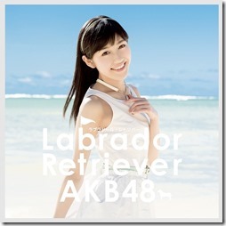 akb48-labrador42