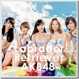 akb48-labradorA1