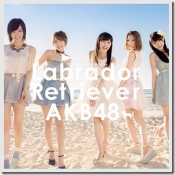 akb48-labradorA2