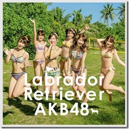 akb48-labradorK1