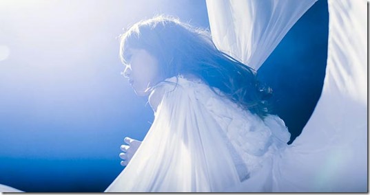 aimer20140716d